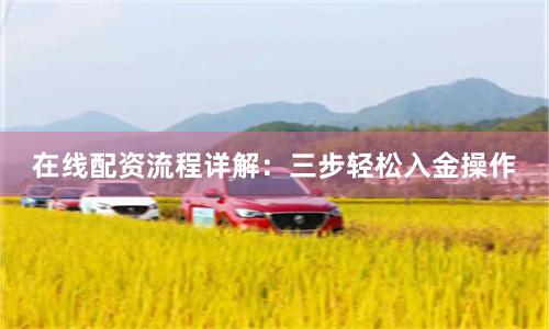 在线配资流程详解：三步轻松入金操作